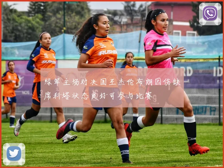 绿军主场对决国王杰伦布朗因伤缺席科塔状态良好可参与比赛